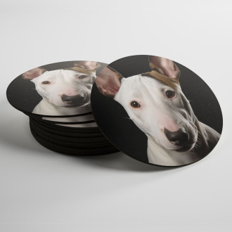 Coasters Miniature Bull Terrier realistic