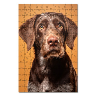 Wooden Puzzle German Wirehaired Pointer realistic