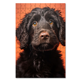 Wooden Puzzle Portuguese Water Dog realistic