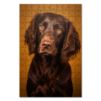 Wooden Puzzle Boykin Spaniel realistic