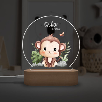 Baby lamp monkey in jungle