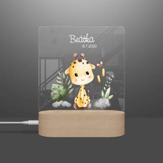 Baby lamp giraffe in jungle