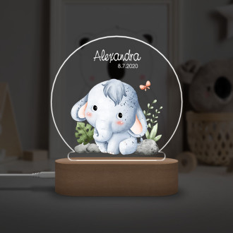Baby lamp elephant in jungle
