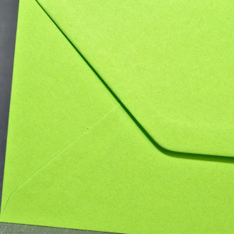 Envelope DL fresh green
