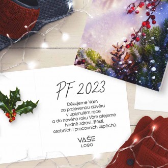 Christmas card N922o