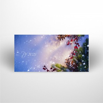 Christmas card N922o2