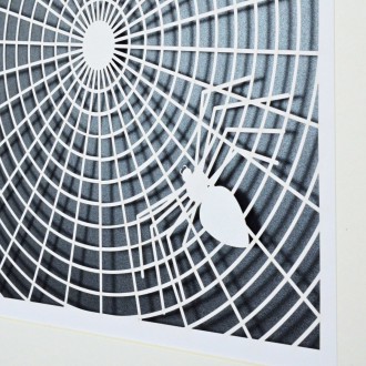 Wall art Spider web