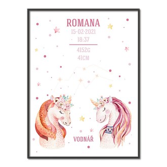 Unicorns and Aquarius constellation poster
