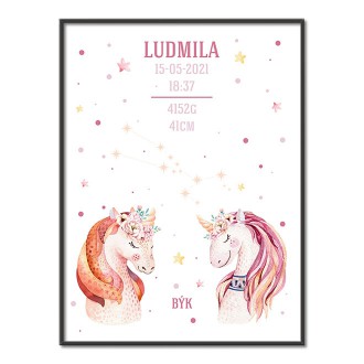 Unicorns and Taurus constellation poster