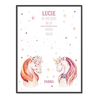 Unicorns and Virgo Constellation poster