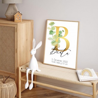 Personalized Poster Baby Birth - Alphabet "B"