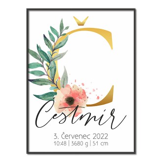 Personalized Poster Baby Birth - Alphabet "Č"