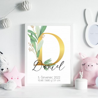 Personalized Poster Baby Birth - Alphabet "D"