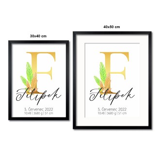 Personalized Poster Baby Birth - Alphabet "F"