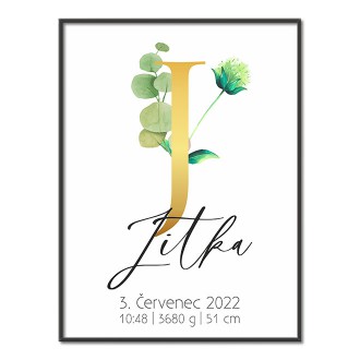 Personalized Poster Baby Birth - Alphabet "J"