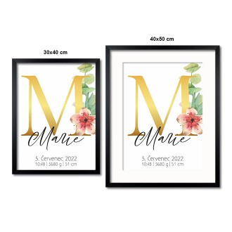 Personalized Poster Baby Birth - Alphabet "M"