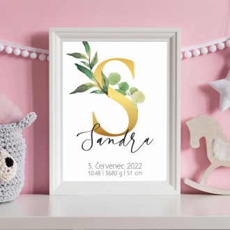 Personalized Poster Baby Birth - Alphabet "S"