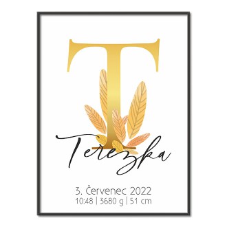 Personalized Poster Baby Birth - Alphabet "T"