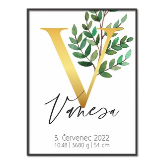 Personalized Poster Baby Birth - Alphabet "V"