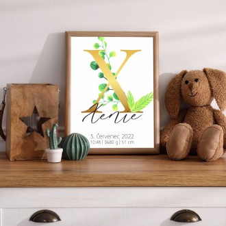 Personalized Poster Baby Birth - Alphabet "X"