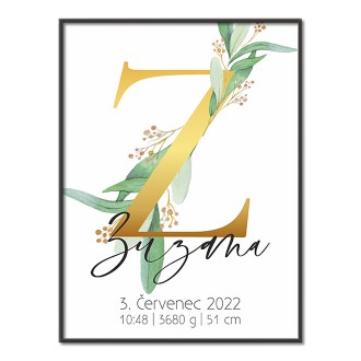 Personalized Poster Baby Birth - Alphabet "Z"