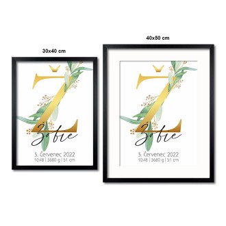 Personalized Poster Baby Birth - Alphabet "Ž"
