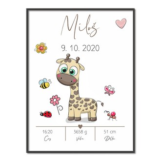 Personalized Poster Baby Birth - 50