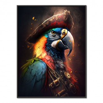 Parrot Pirate 1