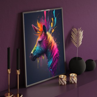 Donkey in colors