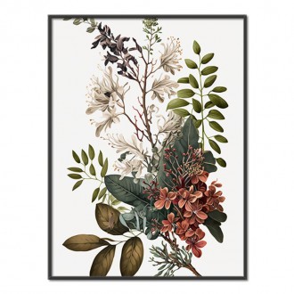 Flower herbarium 7