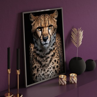 Cheetah female