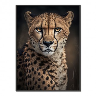 A male cheetah