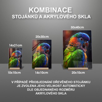 Acrylic glass Colorful parrot 2