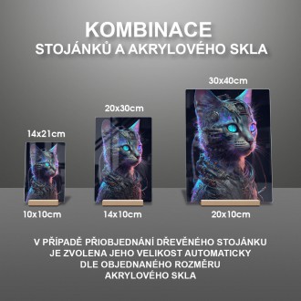 Acrylic glass Cyborg cat