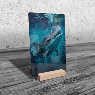 Acrylic glass Underwater scenery Whale shark