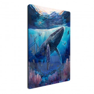 Acrylic glass Underwater scenery Humpback whale