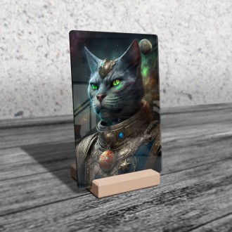 Acrylic glass Alien race - Cat