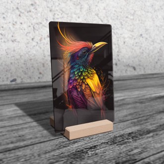Acrylic glass Colorful bird