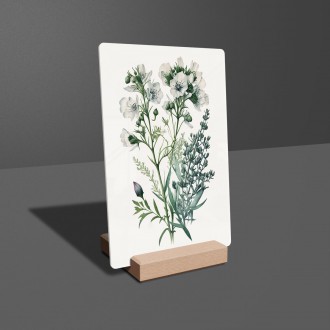 Acrylic glass Flower herbarium 2