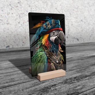 Acrylic glass Pirate parrot