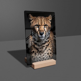 Acrylic glass Cheetah female