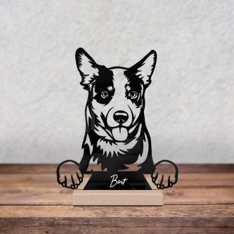 Australian Cattle Dog