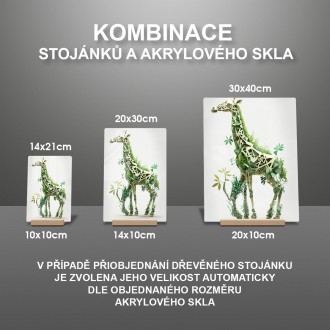 Acrylic glass Natural giraffe