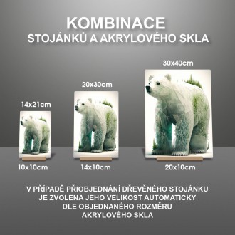 Acrylic glass Natural polar bear