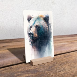 Acrylic glass Graffiti bear