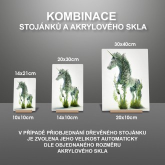 Acrylic glass Natural unicorn