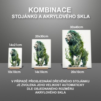 Acrylic glass Natural lion