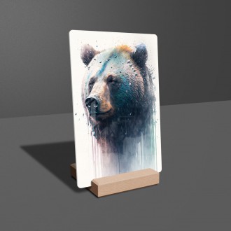 Acrylic glass Graffiti bear