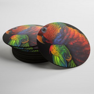 Coasters Colorful parrot