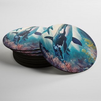 Coasters Underwater scenery Killer whale